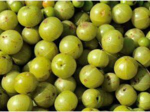 Amla Fruit